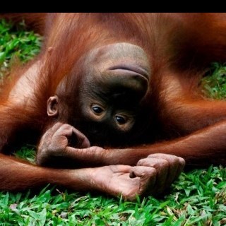 Whatevvvvva's profile picture. 