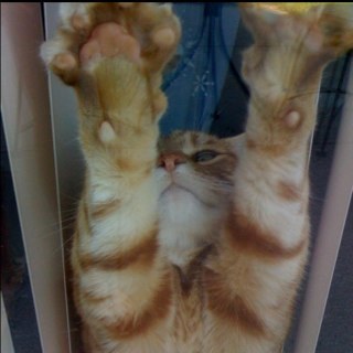 eleuenberger's profile picture. 