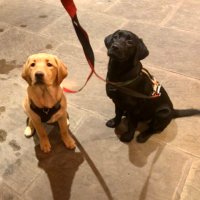 Helen Whalley (@hlwhalley) 's Twitter Profile