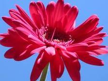 katymccullen's profile picture. With a voracious appetite for all things sex, men & dating, aspiring writer Katy McCullen shares her stories of lust, love & disdain @ single-woman.tv