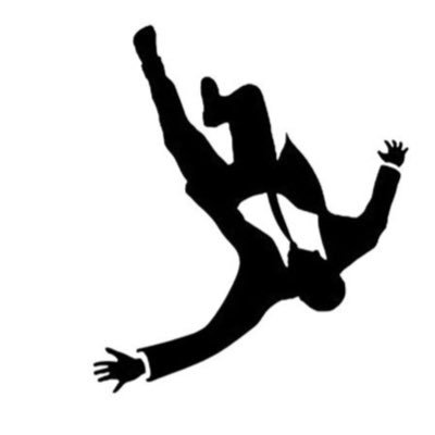 Hamkaram_Amel's profile picture. سقوط می‌کنیم