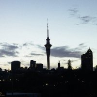 every lot auckland(@everylotakl) 's Twitter Profile Photo