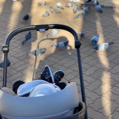 hindb27's profile picture. 