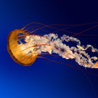 EQN44902408's profile picture.
