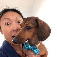 nina nguyen (@ninatnguyen) 's Twitter Profile