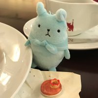あおたに (@count0w0) 's Twitter Profile