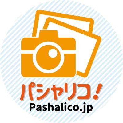 pashalico Profile Picture