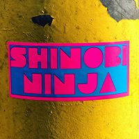 Shinobi Ninja(@XShinobiNinjaX) 's Twitter Profileg