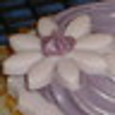 amylane's profile image