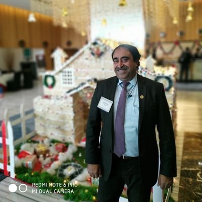 sarvajitsingh's profile picture. Indo Technologies