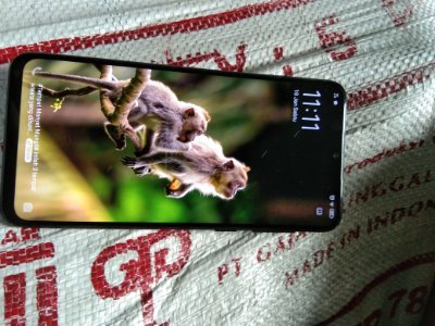 sanoxcell's profile picture. Enak klau main🙏🔥❤