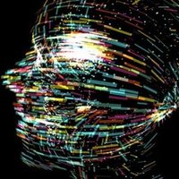 Sentience (@sentience_os) 's Twitter Profile