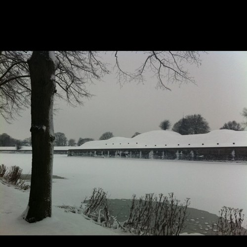 OVNVesting's profile picture. 