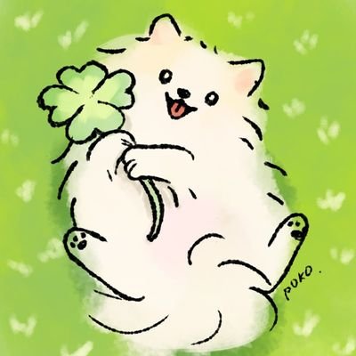 ポメラニアンの空🐶5歳(🎂8月30日🏡11月4日)内弁慶、びびりでツンデレ、お散歩大好きな男の子です🐶🐾３歳で右足、今年１月左足パテラ手術済み🏥仲良くしてね😊💕ネットショップで肉球クリーム、うちの子グッズ販売中→そらら🍀https://t.co/ARqv1hekoV