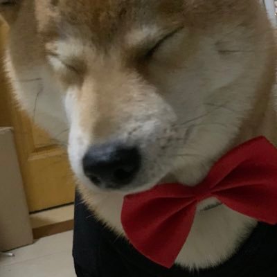 gary93118276's profile picture. Why