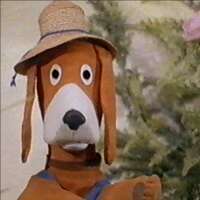 terry2310's profile picture. 