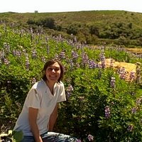 Kathy Vilim (@nativegardener) 's Twitter Profile