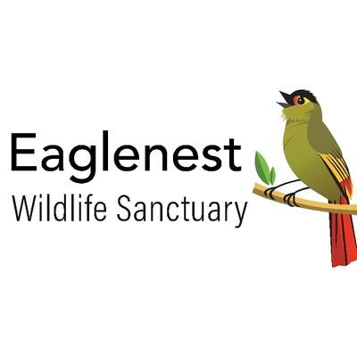 Official twitter handle of Eaglenest Wildlife Sanctuary, Department of Environment and Forests, Government of Arunachal Pradesh.