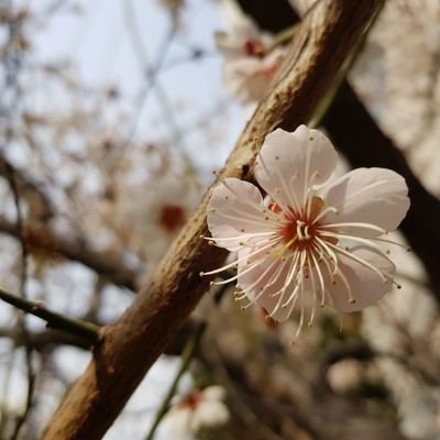 聖書の教え通り再臨キリスト安商洪様と天の母を信じて神様の教会世界福音宣教協会を通う神様の子供です。