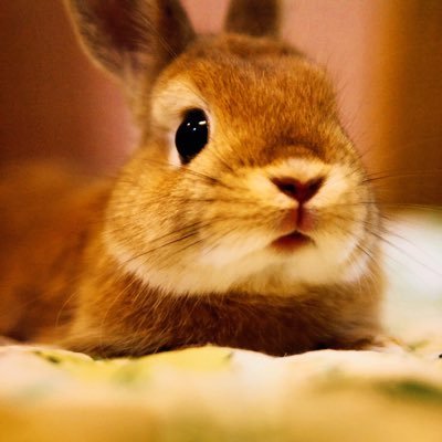 enjoyableclown's profile picture. 