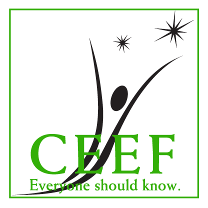 CEEF is a 501(c)3 formed in 1984 to support excellent educational programs in Cupertino Union School District beyond what is possible with government funding.