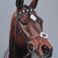 Nigel Brunyee Equine Portraits(@nigbrunyee) 's Twitter Profile Photo