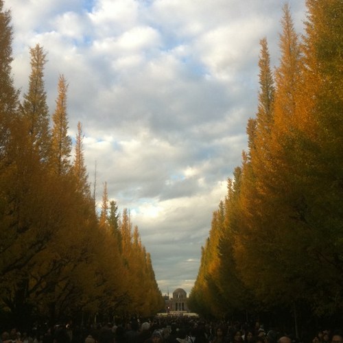 shinn72's profile picture. ヨロシクです〜 。
光陰矢の如しー