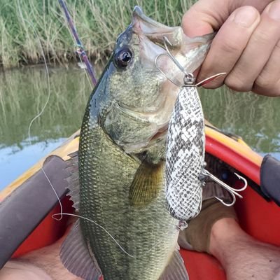 バス釣り復帰勢。埼玉県富士見市近辺でバス釣りしてます。基本ボウズ。連敗が続くほど釣れたときの感動もひとしお！