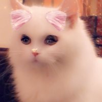 YUKI (@yuki72098791) Twitter profile photo