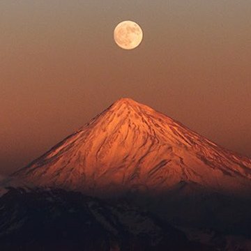 IranStartups's profile picture. 