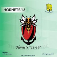 Hornets(@_Hornets_) 's Twitter Profile Photo