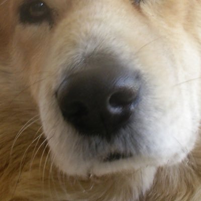 ohu_study's profile picture. お勉強垢 #なんでもできるはなんでもできない #Java #AWS #放送大学