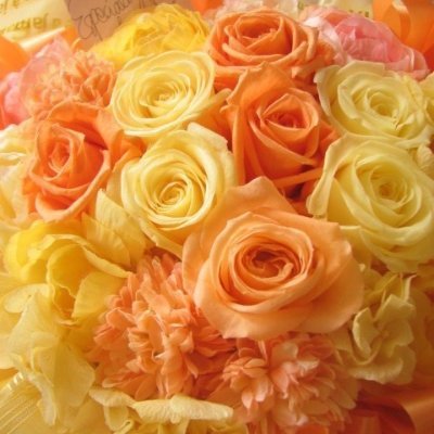 mariamaria0628's profile picture. EIGHTER13年目🌈まるちゃんの沼に住んでいます🧡
そして⛄舘様🌹の沼にもハマって抜け出せない❤️
認知症の母の介護6年目、在宅勤務も6年目のアラフィフです👠