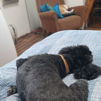 PamelaCorderoA2's profile picture. ✌