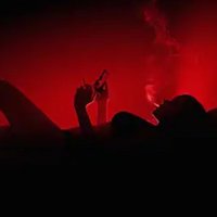 CarnalVerse (@carnalverse) 's Twitter Profile Photo