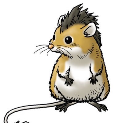 B_ro_'s profile picture. https://t.co/VGGjSC5Ic1