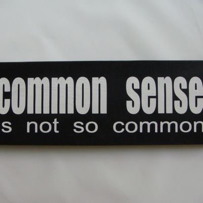 commonsense491 Profile Picture