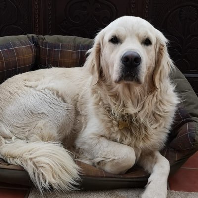 dynamite1205's profile picture. 