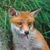 Old Vixen (@hill_thea) Twitter profile photo Old Vixen (@hill_thea) Twitter profile photo