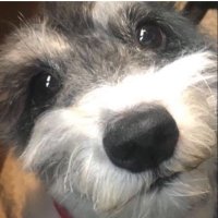 Luismi (@luismigalvarez) 's Twitter Profile