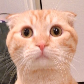 うにさんのプロフィール画像