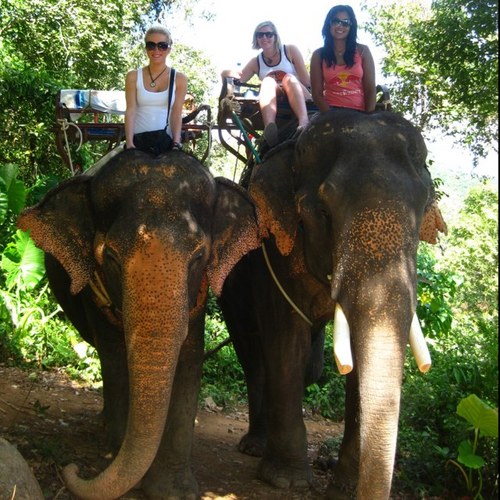 crystal_hendo's profile picture. 