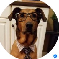 agfrva (@agfrva) 's Twitter Profile