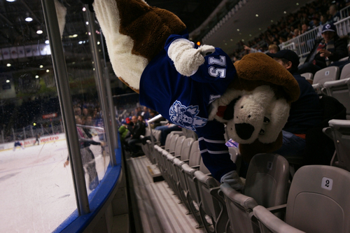 What’s up Dogs :)

My name is Duke #75, I am proud and honoured to be the official mascot of the Toronto Marlies and this is my UNOFFICIAL Twitter account!