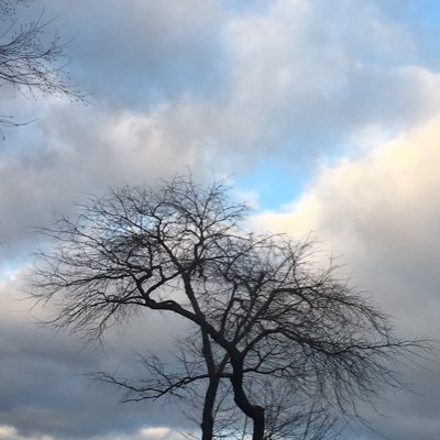 dailypretzel's profile picture. Whetting your appetite #MorselsforyourMind