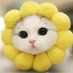 Sunflower💙💛🌻 (@igaaa_98) Twitter profile photo Sunflower💙💛🌻 (@igaaa_98) Twitter profile photo