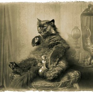 behemoth_mark's profile picture. “The truth is like a lion; 
you don’t have to defend it. 
Let it loose; 
it will defend itself.”

― Augustine of Hippo