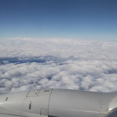 TomoWtnb's profile picture. 