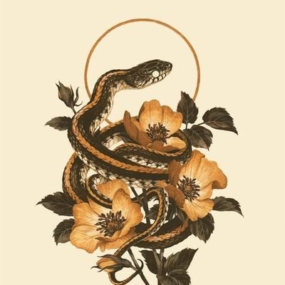 serpent_egg's profile picture. Leżą mi na sercu sprawy kobiet. Dużo czytam. Myślę zawsze samodzielnie. Nie należę do żadnego plemienia. [she/her] #feminizm