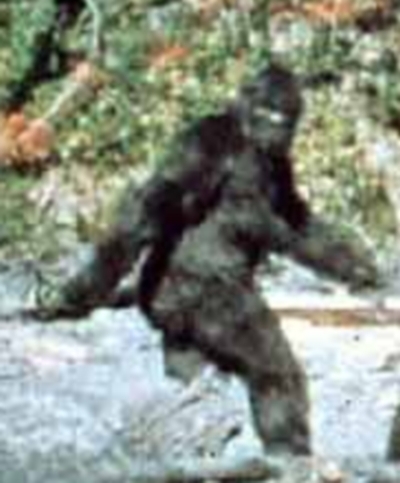 Follow me if your interested in Bigfoot and other Cryptozoological creatures, Ghosts, and UFOs. I will follow back.